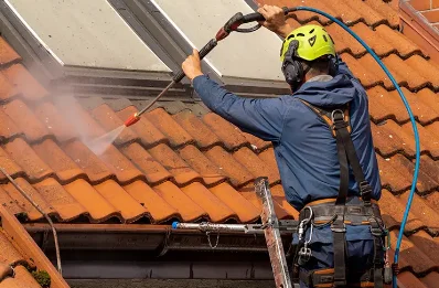 Démoussage et hydrofuge de toiture à Pressy